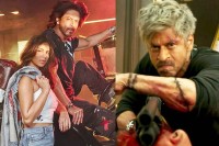 সুহানাকে-‘অ্যাকশন’-শেখাচ্ছেন-শাহরুখ
