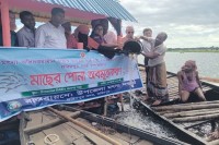 ফরিদপুরের-চাপাইবিলে-২৪০-কেজি-পোনা-মাছ-অবমুক্তকরণ:-মৎস্য-উৎপাদন-বৃদ্ধিতে-নতুন-উদ্যোগ