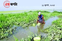 বৃষ্টি-বন্যায়-কুমিল্লায়-ভেসে-গেছে-বিস্তীর্ণ-ফসলী-কৃষিজমি