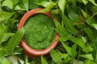 অগ্ন্যাশয়ের-ক্যান্সার-রুখবে-নিম