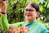 এআই-বিকৃতিতে-বিরক্ত-কনকচাঁপা