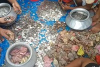 ভিক্ষুকের-কাছে-মিলল-দুই-বস্তা-টাকা