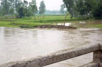 তিস্তার-ভাঙন-অব্যাহত