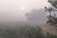 পঞ্চগড়ে-বাড়ছে-শীতের-দাপট,-টানা-তিন-দিন-তাপমাত্রা-১২-ডিগ্রিতে