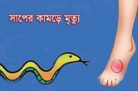 কালকিনিতে-সাপের-কামড়ে-গৃহবধূর-মৃত্যু