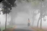 কুয়াশা-দিচ্ছে-শীতের-বার্তা,-রাজশাহীতে-সর্বনিম্ন-তাপমাত্রা-২২.২-ডিগ্রি
