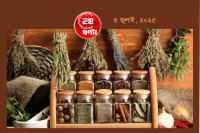 মশলাপাতির-কৌটোয়-তেলচিটে-ভাব-কীভাবে-সরাবেন