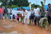খাগড়াছড়িতে-সড়কে-ধানের-চারা-রোপণ-করে-প্রতিবাদ