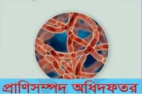 অ্যানথ্রাক্স-প্রতিরোধে-প্রাণিসম্পদ-অধিদপ্তরের-জরুরি-ও-সমন্বিত-কার্যক্রম-শুরু