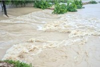 ফেনীর-বন্যা-নিয়ন্ত্রণ-বাঁধের-১৪-স্থানে-ভাঙন,-৩০-গ্রাম-প্লাবিত