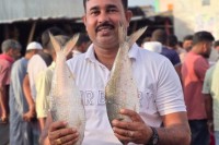 পদ্মার-দুই-ইলিশ-বিক্রি-হলো-১৬-হাজার-টাকা