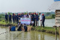 খুলনার-চিংড়ি-চাষীদের-উন্নত-গলদা-চাষের-কৌশল-শিখতে-‘অভিজ্ঞতা-বিনিময়’-সফর
