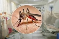 ময়মনসিংহে-ডেঙ্গু-রোগীর-মৃত্যু,-হাসপাতালে-ভর্তি-৭১