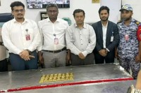 ফলের-চালানে-১৬-কেজি-স্বর্ণ-জব্দ