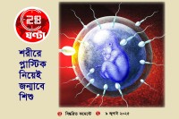 শরীরে-প্লাস্টিক-নিয়েই-জন্মাবে-শিশু