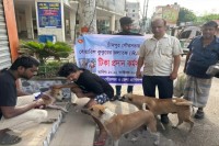 চাঁদপুর-পৌরসভায়-পথকুকুরকে-জলাতঙ্ক-টিকা-প্রদান-কর্মসূচি