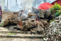 আখাউড়ায়-ভ্রাম্যমাণ-আদালতের-অভিযান,-বিপুল-পরিমাণ-জব্ধকৃত-জাল-আগুনে-পুড়ে-ধ্বংস
