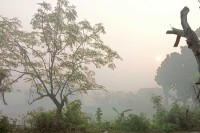 হালকা-কুয়াশা-পড়ার-আভাস