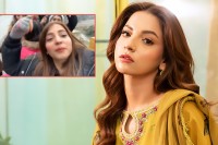 পাওরি-গার্ল-থেকে-সফল-অভিনেত্রী--দানানির