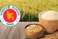 ৩৪-টাকায়-ধান,-৫০-টাকা-কেজি-দরে-সেদ্ধ-চাল-কিনবে-সরকার