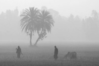 আগামী-৫-দিন-কেমন-থাকবে-আবহাওয়া