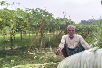 মাটির-ঘামে-ফলানো-ফসল,-বাজারে-মিলছে-না-ন্যায্য-দাম