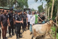 কক্সবাজারে-পশুর-হাটগুলোতে-র‌্যাবের-নিরাপত্তা-জোরদার