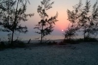 পরিবেশ-রক্ষায়-সোনাদিয়া-দ্বীপ-বন-অধিদপ্তরের-কাছে-