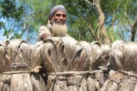 বস্ত্র-ও-পাট-খাত-পুনরুজ্জীবনে-প্রধানমন্ত্রীর-উদ্যোগ
