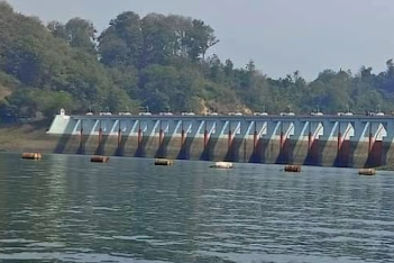 দক্ষিণ এশিয়ায় জলবিদ্যুৎ গ্রিড তৈরির আহ্বান