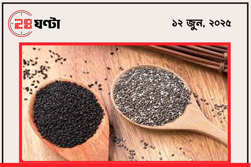 webnews24
