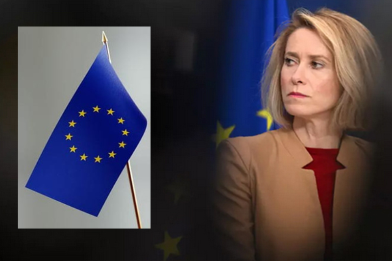 webnews24