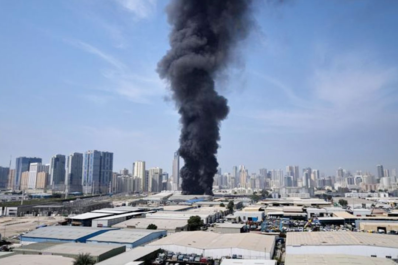 webnews24