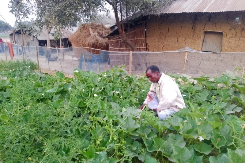 webnews24