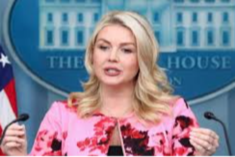webnews24