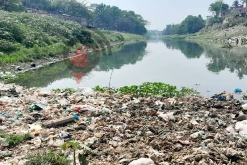 দখল-দূষণে মৃতপ্রায় চুয়াডাঙ্গার মাথাভাঙ্গা নদী