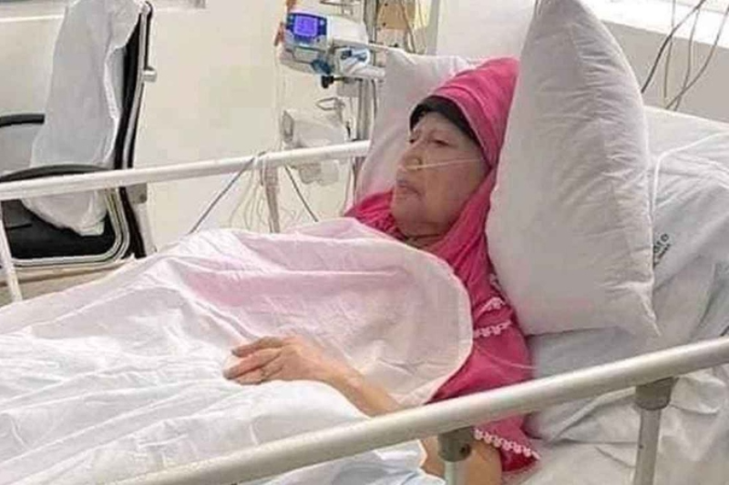 webnews24
