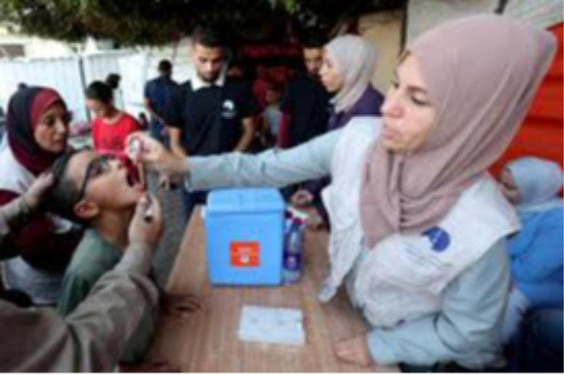 webnews24