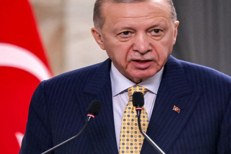 webnews24
