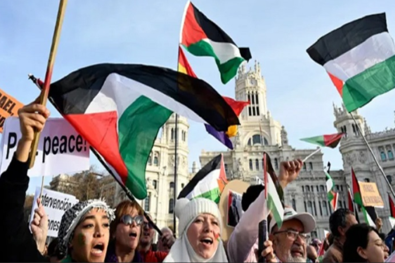 webnews24