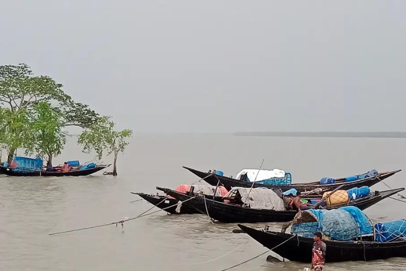 দুর্নীতির ফাঁদে সুন্দরবনের রাজস্ব