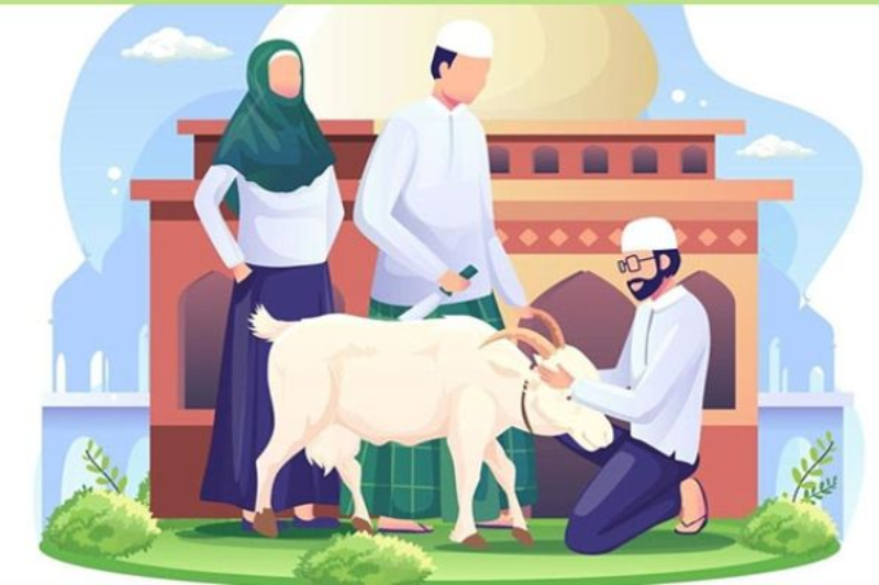 webnews24